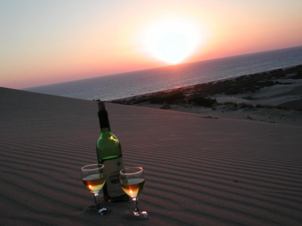 Patara Caretta Hotel エクステリア 写真